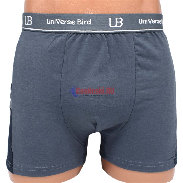 M703 Трусы мужские UNIVERSE BIRD, боксеры, хлопок, большие размеры, однотонные, с лампасами - фото 384777