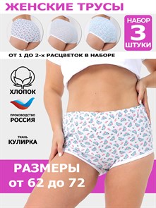 {{photo.Alt || photo.Description || 'Трусы женские АМТЕКС, хлопок (хб - 100%), кулирка, в цветочек, великан'}}