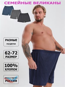 {{photo.Alt || photo.Description || 'Трусы мужские АМТЕКС, семейные, хлопок (хб - 100%), свободные, великан'}}