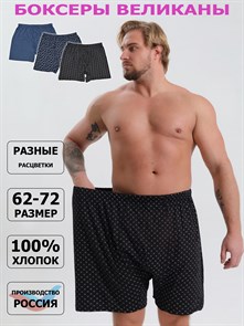 {{photo.Alt || photo.Description || 'Трусы мужские АМТЕКС, боксеры со вставкой, хлопок (хб - 100%), великан'}}