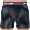 9656 Трусы мужские REDOOR, боксеры, хлопок с бамбуком, в полоску, большие размеры - фото 213887
