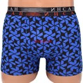 INS-18350 Трусы мужские ИНСАН, боксеры, хлопок с бамбуком, с рисунком - фото 253891