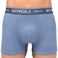 M8633 Трусы мужские MINGLI, боксеры, хлопок с бамбуком, с рисунком - фото 370226