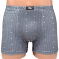 8639 Трусы мужские MINGLI, боксеры, хлопок, с рисунком - фото 756942