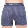7706 Трусы мужские MINGLI, боксеры, хлопок, с рисунком - фото 756946