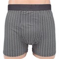 8621 Трусы мужские MINGLI, боксеры, бхлопок с бамбуком, с рисунком, великан - фото 756953