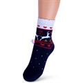 Д 49/ Д 78 Носки детские RUSOCKS, зимние, махровые внутри, с рисунком - фото 760040