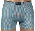 7014 Трусы мужские VEENICE, боксеры, бамбук, в мелкую клетку - фото 761512