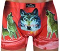 YF30006 Трусы мужские VEENICE, боксеры, хлопок, с рисунком волка - фото 761520