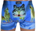 YF30006 Трусы мужские VEENICE, боксеры, хлопок, с рисунком волка - фото 761521