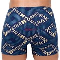 18254 Трусы мужские ИНСАН, боксеры, хлопок с бамбуком, с рисунком - фото 762311