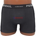 GW82027 Трусы мужские PESAIL, боксеры, хлопок, широкая резинка, с лампасами - фото 765017