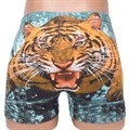 8003 Трусы мужские BOKAI, боксеры, хлопок, "Тигр-Символ 2022 года" - фото 769823