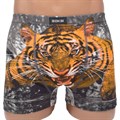 8003 Трусы мужские BOKAI, боксеры, хлопок, "Тигр-Символ 2022 года" - фото 769824