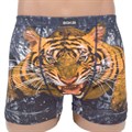 8003 Трусы мужские BOKAI, боксеры, хлопок, "Тигр-Символ 2022 года" - фото 769825