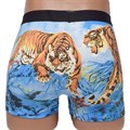 757 Трусы мужские BOKAI, боксеры, хлопок, "Тигр-Символ 2022 года" - фото 769835