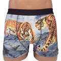 757 Трусы мужские BOKAI, боксеры, хлопок, "Тигр-Символ 2022 года" - фото 769836