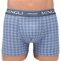 8612 Трусы мужские MINGLI, боксеры, хлопок с бамбуком, с рисунком - фото 770426