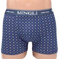 8612 Трусы мужские MINGLI, боксеры, хлопок с бамбуком, с рисунком - фото 770427