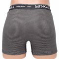 8637 Трусы мужские MINGLI, боксеры, хлопок с бамбуком, тонкая резинка, с рисунком - фото 773092