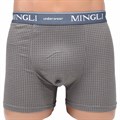 8637 Трусы мужские MINGLI, боксеры, хлопок с бамбуком, тонкая резинка, с рисунком - фото 773093