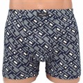 18703 Трусы мужские ИНСАН, боксеры, бамбук с хлопком, с рисунком - фото 775214