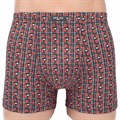 18728 Трусы мужские ИНСАН, боксеры, бамбук с хлопком, с рисунком - фото 777382