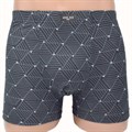 18753 Трусы мужские ИНСАН, боксеры, бамбук с хлопком, с рисунком - фото 779977