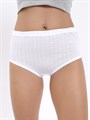 Трусы женские АМТЕКС, хлопок (хб - 100%), кулирка, однотонные - фото 787646
